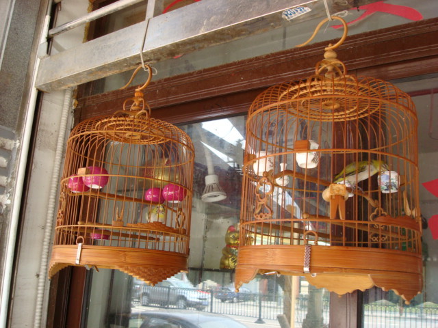 Marchés aux oiseaux de shanghai (2011) 046mar10