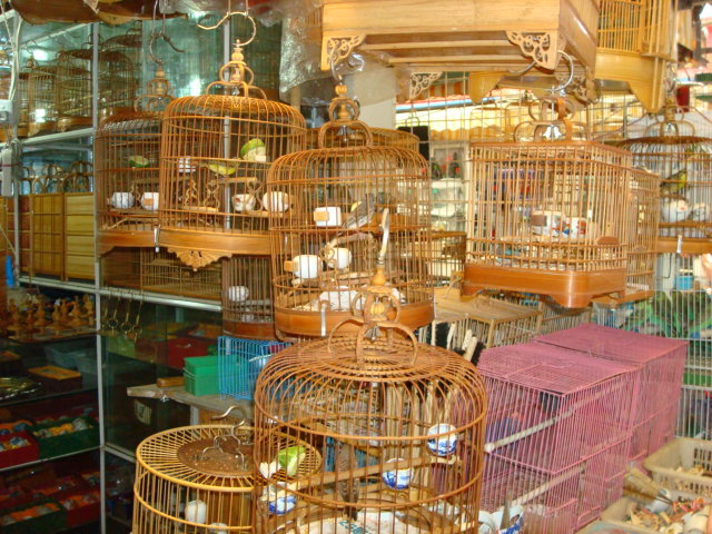 Marchés aux oiseaux de shanghai (2011) 071mar10