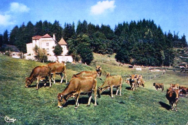 les chateaux de la Lozere - Page 11 St_che10