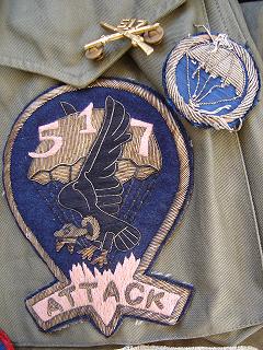 517 Th Maritims Alps  Patch & special modifications Dsc01010