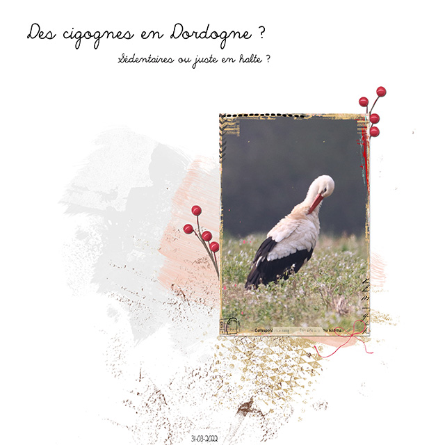 Challenge template --> 15 avril - Page 2 2022-033