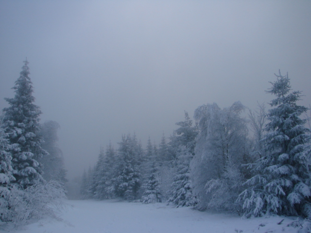 Le Pic du Lizieu dans la neige et le givre le 13/12/2007 1312
