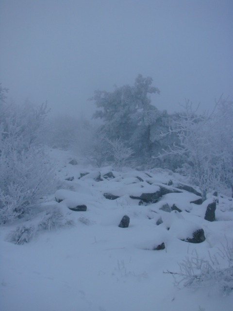 Le Pic du Lizieu dans la neige et le givre le 13/12/2007 1912