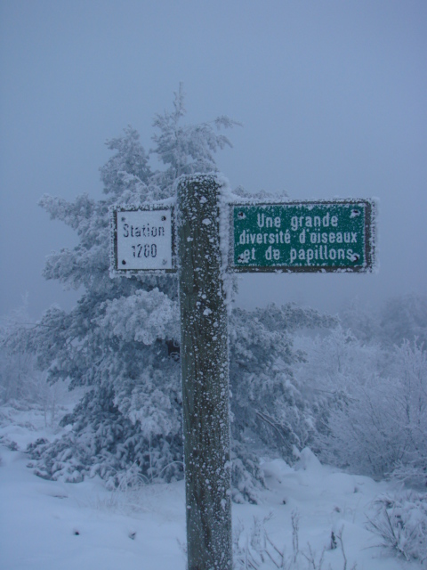 Le Pic du Lizieu dans la neige et le givre le 13/12/2007 2112