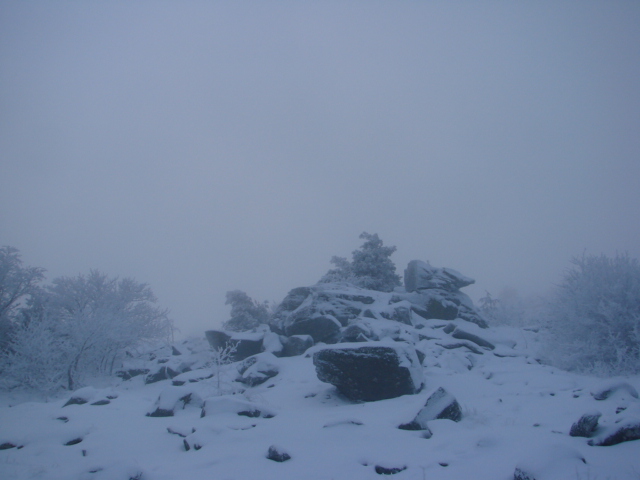 Le Pic du Lizieu dans la neige et le givre le 13/12/2007 2212