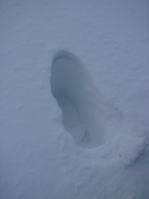 Le Pic du Lizieu dans la neige et le givre le 13/12/2007 2412