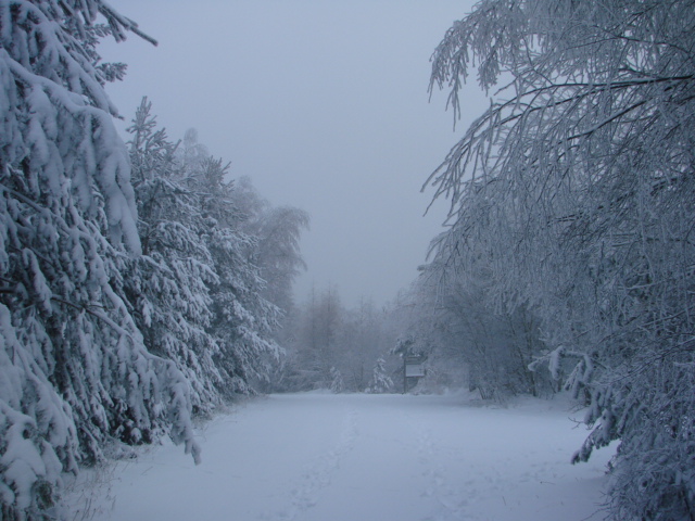 Le Pic du Lizieu dans la neige et le givre le 13/12/2007 312