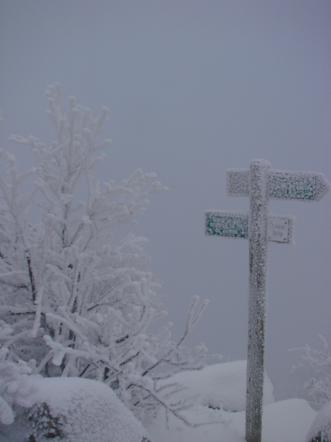 Le Pic du Lizieu dans la neige et le givre le 13/12/2007 3310