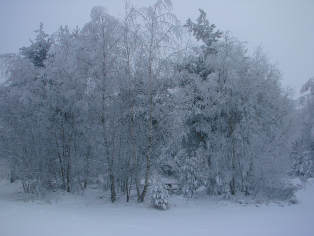 Le Pic du Lizieu dans la neige et le givre le 13/12/2007 412