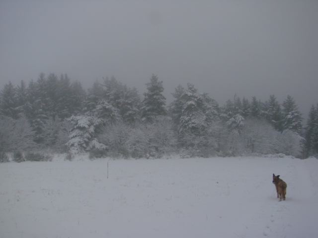 Le temps à Madelonnet du mois de décembre 2007 511