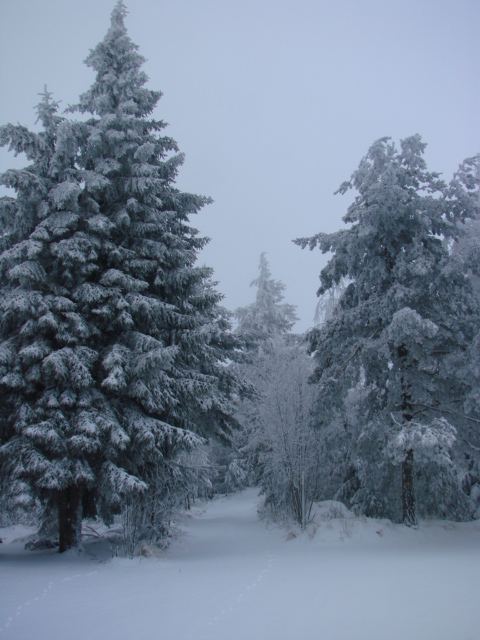 Le Pic du Lizieu dans la neige et le givre le 13/12/2007 612