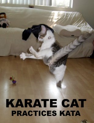 Animais doidos Karate10