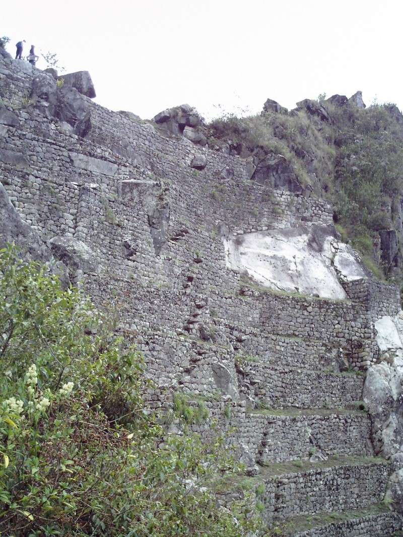 Machu Picchu - Alentours 08 08 Dcfc0121