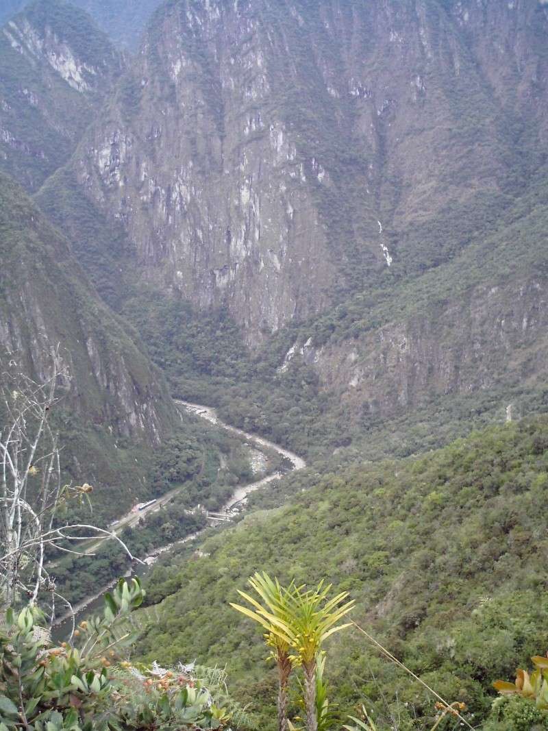 Machu Picchu - Alentours 08 08 Dcfc0123