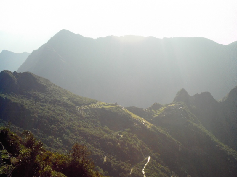 Machu Picchu - Alentours 08 08 Dcfc0132