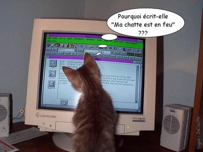 le jeux le plus couillon du net Chat_r10