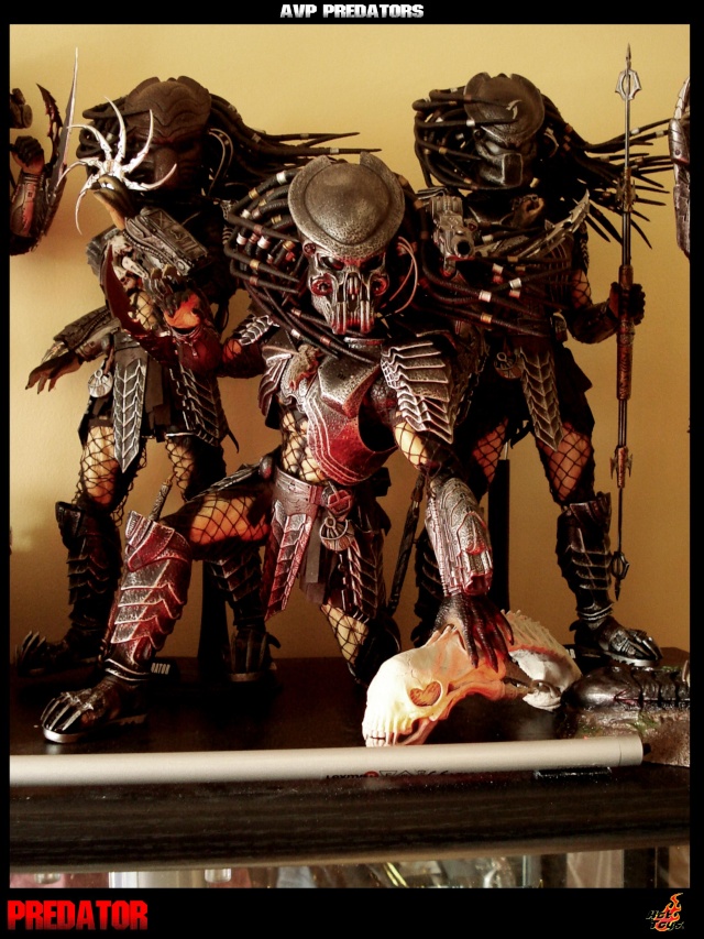 Collection n°329 : Redfield MAJ du 15/08/11--> MAJ Predator Jungle Avppre11