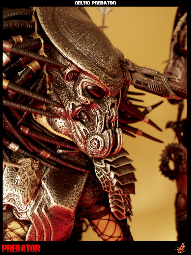 Collection n°329 : Redfield MAJ du 15/08/11--> MAJ Predator Jungle Celtic11