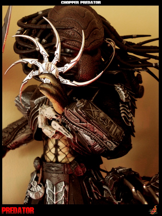 Collection n°329 : Redfield MAJ du 15/08/11--> MAJ Predator Jungle Choppe11