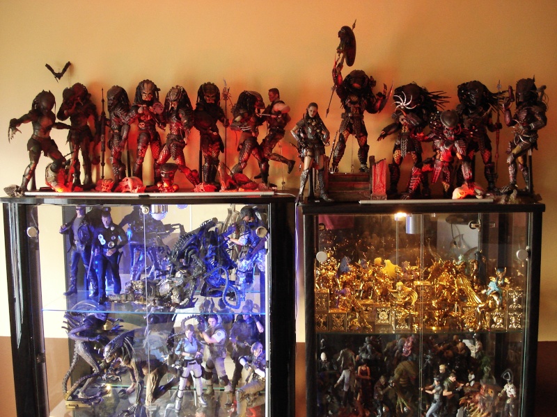 Collection n°329 : Redfield MAJ du 15/08/11--> MAJ Predator Jungle Dsc08210