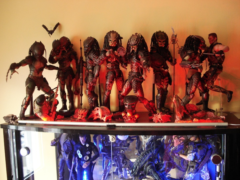 Collection n°329 : Redfield MAJ du 15/08/11--> MAJ Predator Jungle Dsc08211