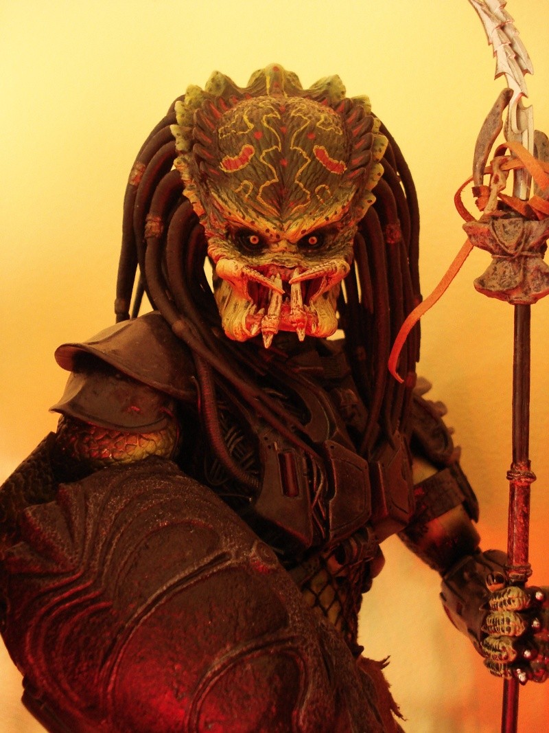 Collection n°329 : Redfield MAJ du 15/08/11--> MAJ Predator Jungle Dsc08216