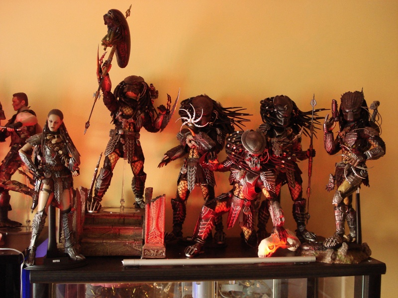 Collection n°329 : Redfield MAJ du 15/08/11--> MAJ Predator Jungle Dsc08217