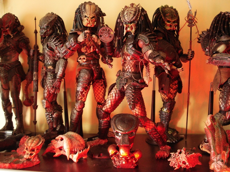 Collection n°329 : Redfield MAJ du 15/08/11--> MAJ Predator Jungle Dsc08310