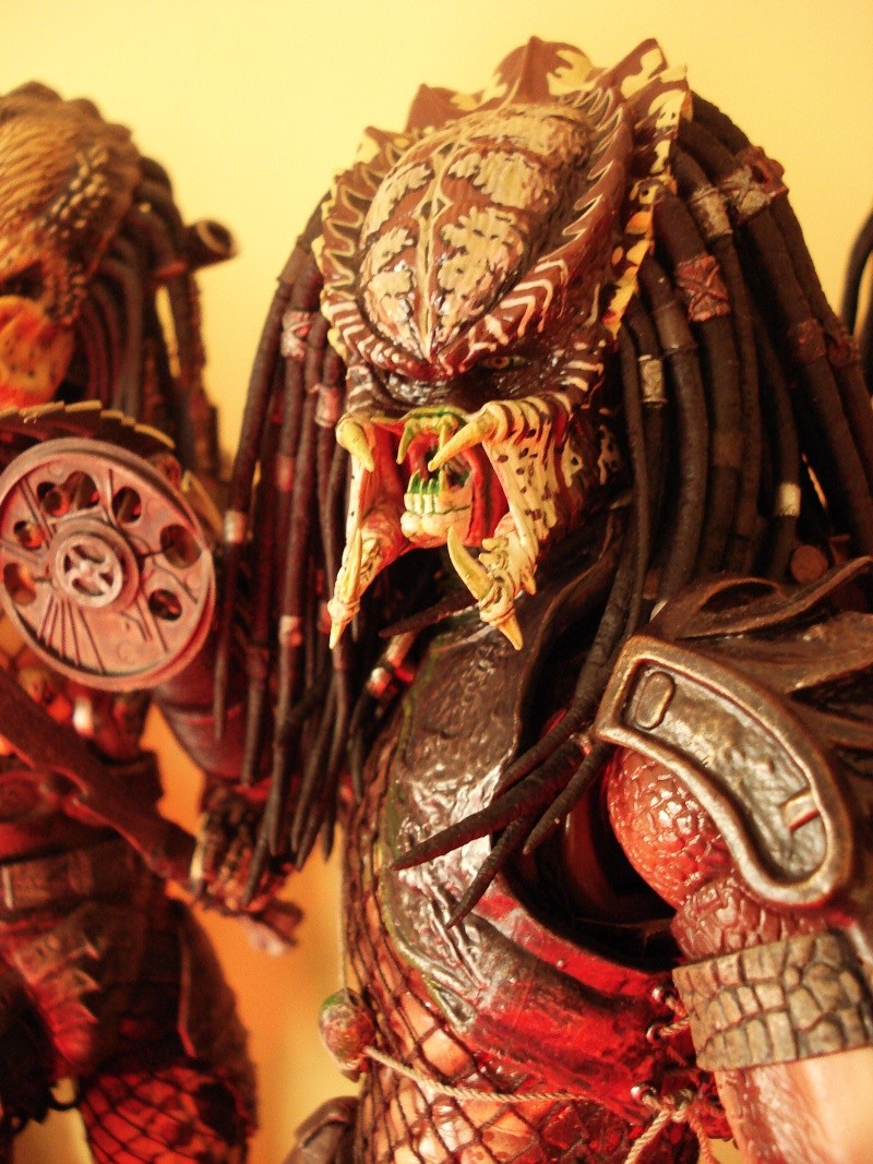 Collection n°329 : Redfield MAJ du 15/08/11--> MAJ Predator Jungle Dsc08312
