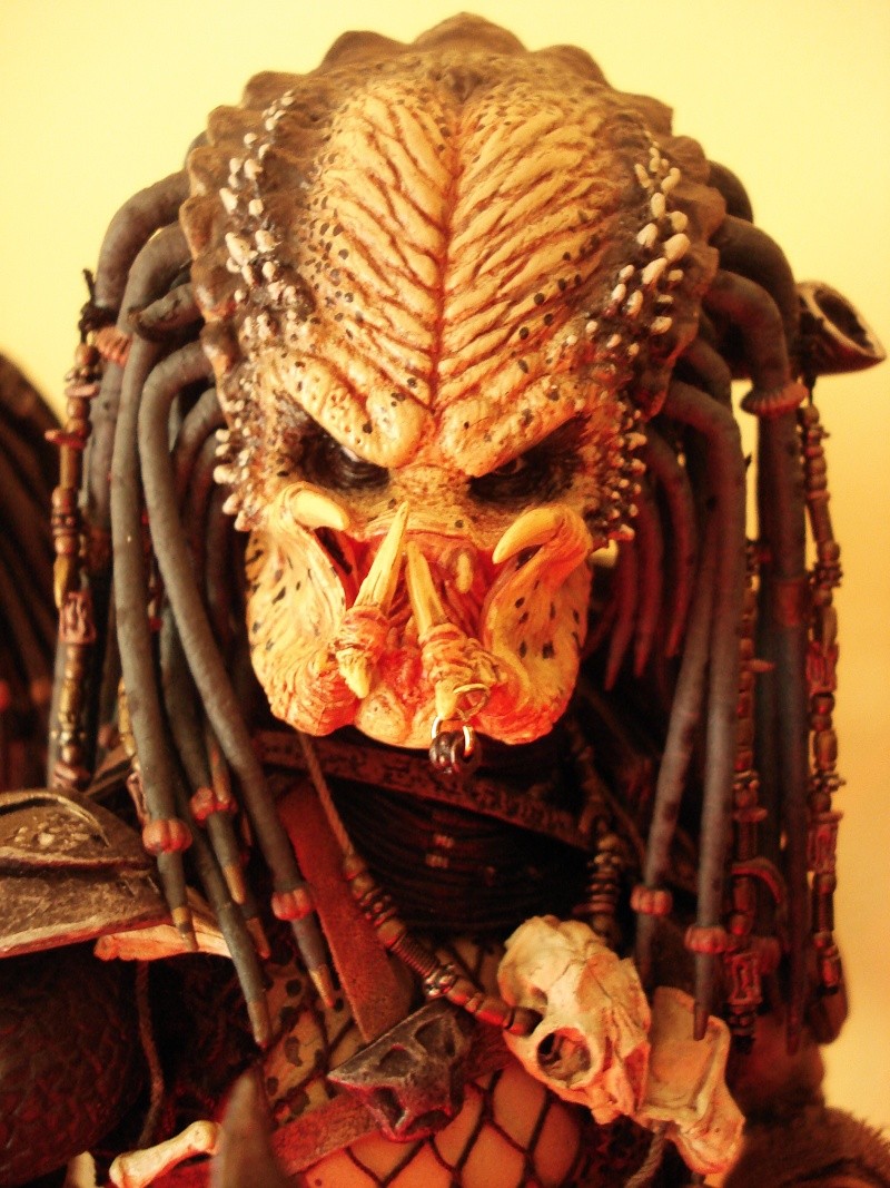 Collection n°329 : Redfield MAJ du 15/08/11--> MAJ Predator Jungle Dsc08314