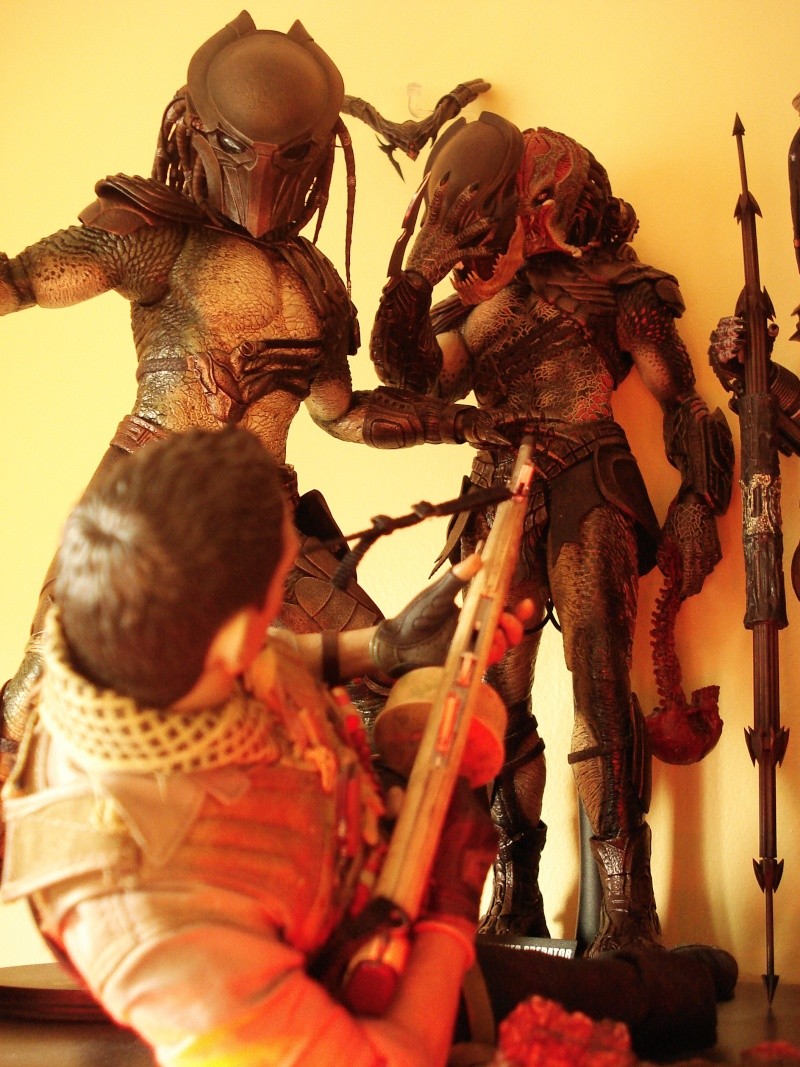 Collection n°329 : Redfield MAJ du 15/08/11--> MAJ Predator Jungle Dsc08318