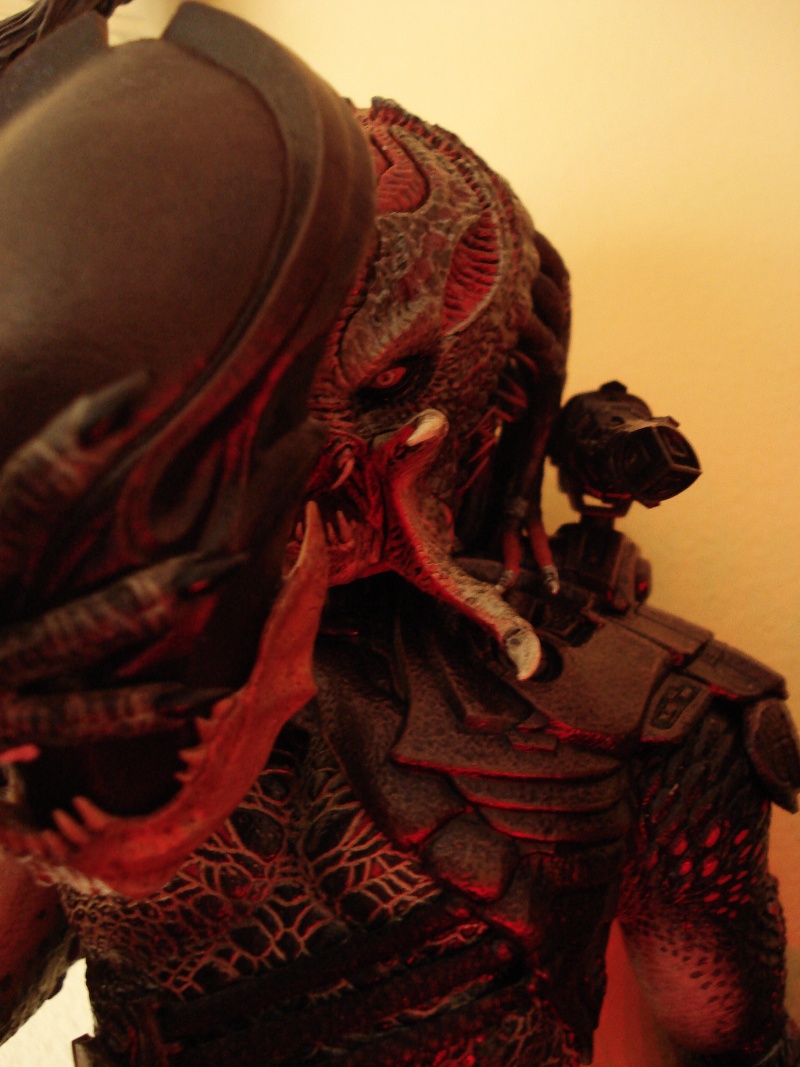 Collection n°329 : Redfield MAJ du 15/08/11--> MAJ Predator Jungle Dsc08320