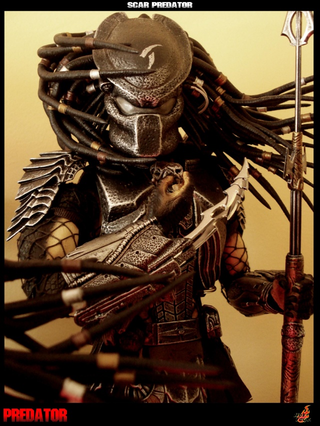 Collection n°329 : Redfield MAJ du 15/08/11--> MAJ Predator Jungle Scarpr16
