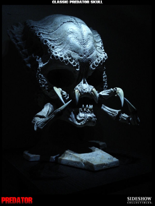 Collection n°329 : Redfield MAJ du 15/08/11--> MAJ Predator Jungle Skullc16