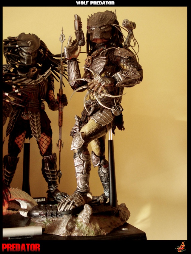 Collection n°329 : Redfield MAJ du 15/08/11--> MAJ Predator Jungle Wolfpr21