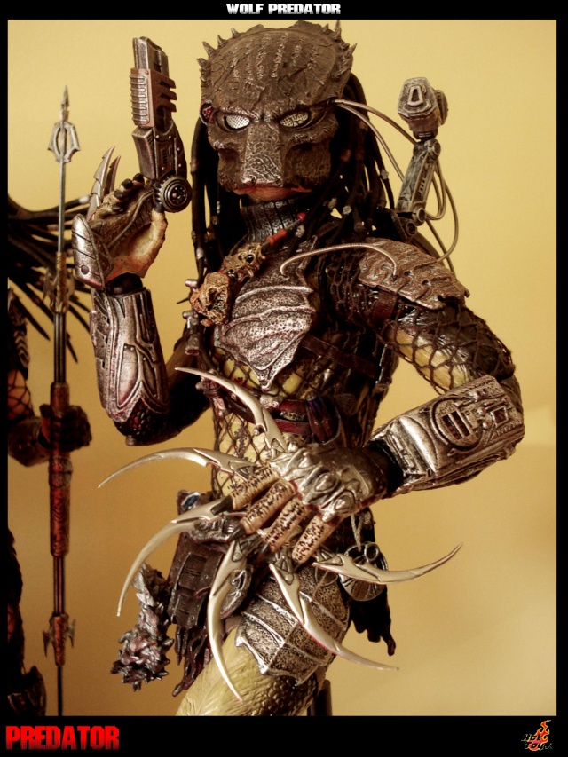 Collection n°329 : Redfield MAJ du 15/08/11--> MAJ Predator Jungle Wolfpr22