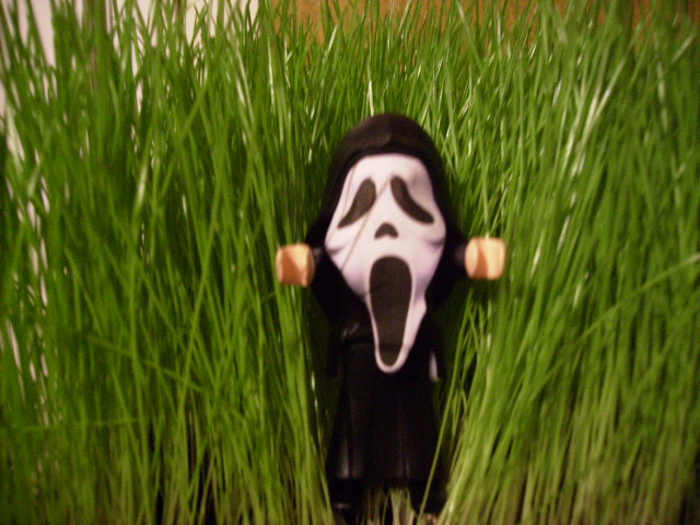 Le monde de Davidobil (l'intgrale) Scream10