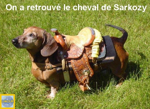 Sarko  (bis) Chien-10