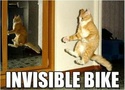 Invisible Bike Post-310