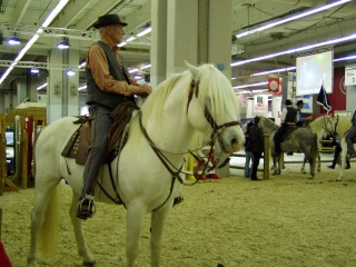 Salon du cheval : des vrais chevaux P1010024