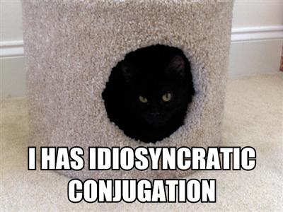 Lolcats Conjug11