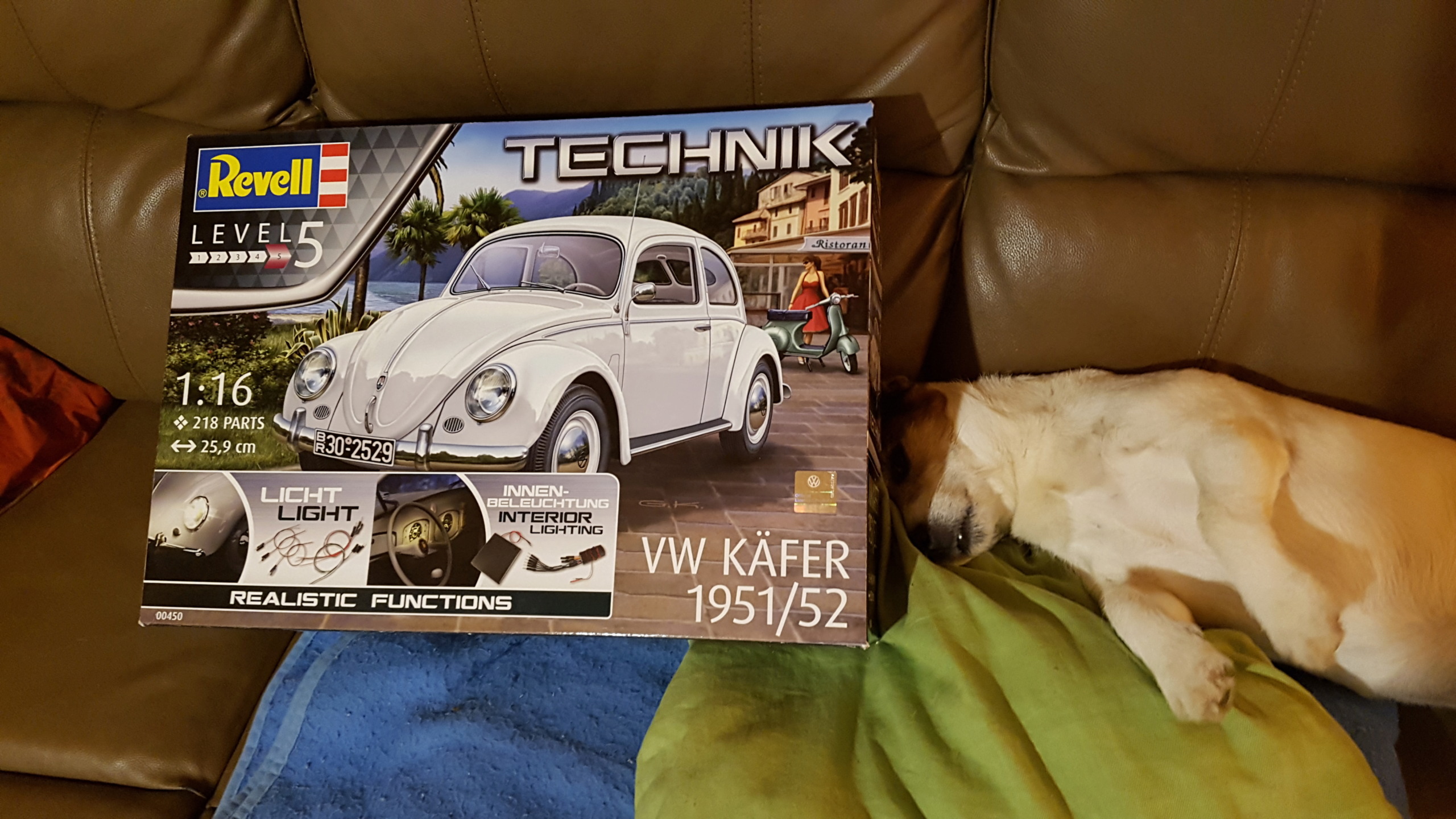 [REVELL] VW COCCINELLE 1952 1/16 20191210