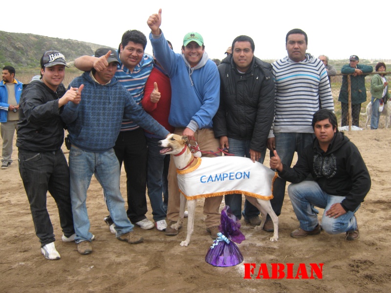 YA MUCHACHOS GRAN INAGURACION DE CANODROMO  EN PICHICUY PARA EL DIA 03 DE OCTUBRE  GRANDES CLASICOS Y GRANDES SORPRESAS  - Página 6 Fabian10