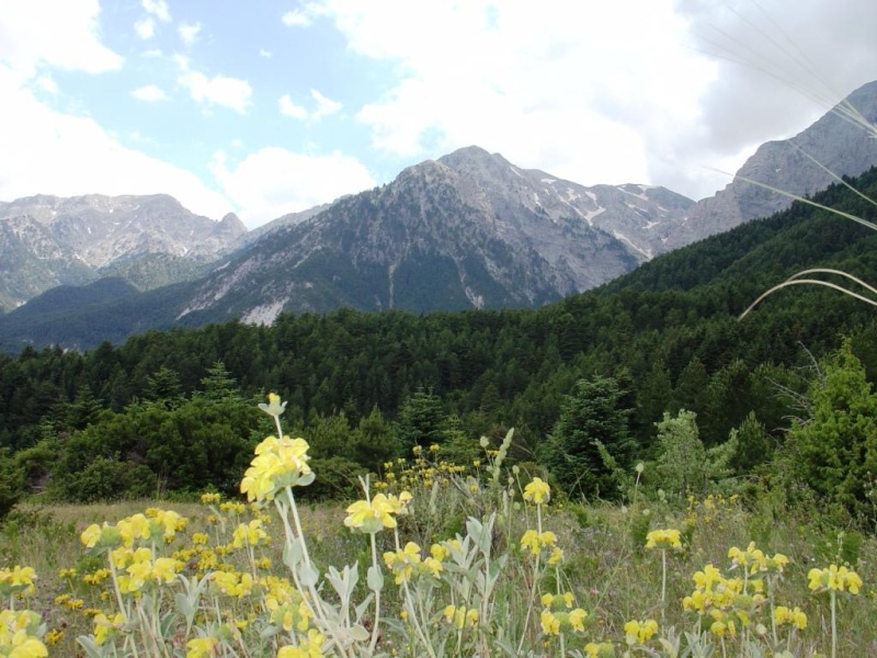 E4 dans l'Helmos (nord du Péloponnèse) Dsc00810