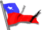 Banderas de las regiones Chile_10