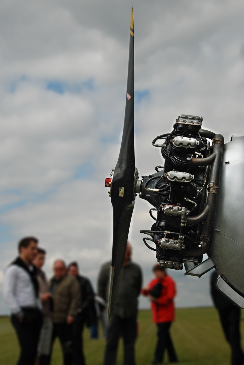 Morane Saulnier 317 Dsc_5312