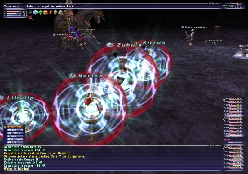 Odin #35, ZNM and Walk of Echoes Ffxi_226