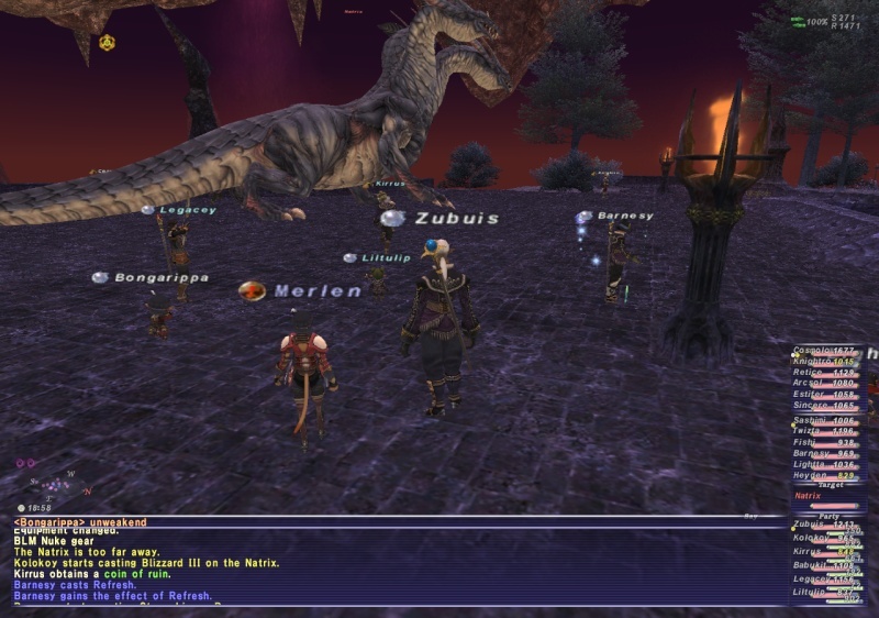 Odin #35, ZNM and Walk of Echoes Ffxi_227