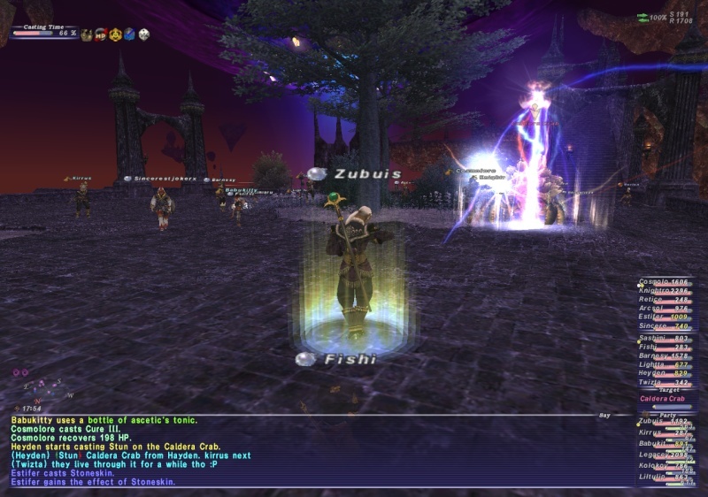 Odin #35, ZNM and Walk of Echoes Ffxi_228