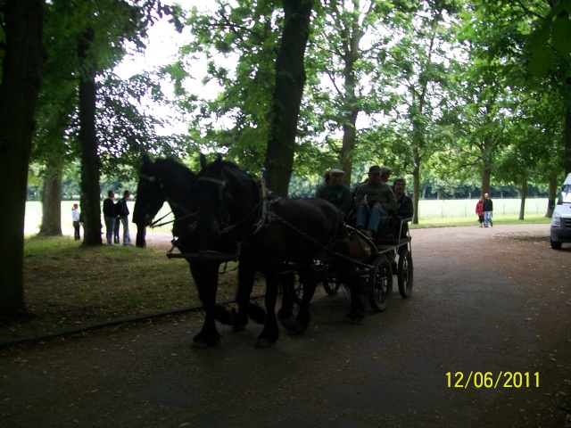 Des chevaux à Versailles Photo313